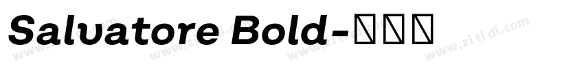Salvatore Bold字体转换 Salvatore Bold字体转换